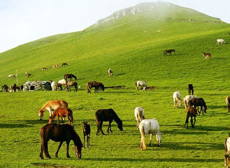 Auli Bugyal in Chamoli | Popular Meadows in Uttarakhand