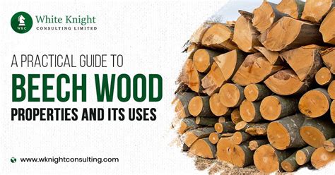 A Practical Guide to Beech Wood Properties and its Uses