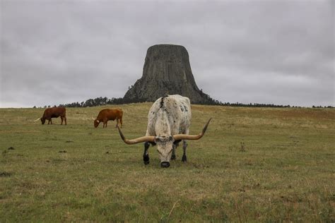 Top 3 Photo Spots at Devils Tower in 2022