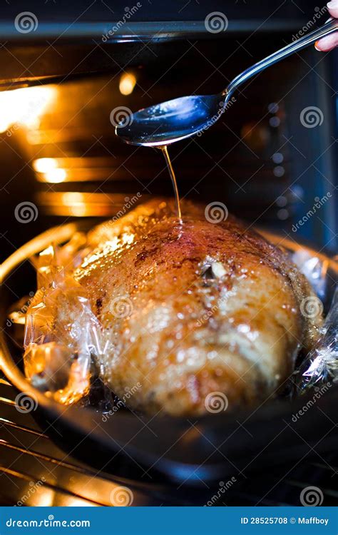 Roast duck in the oven stock photo. Image of closeup - 28525708