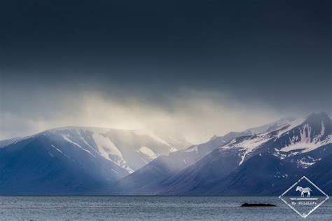 Croisière arctique aux confins du Spitzberg - My Wildlife