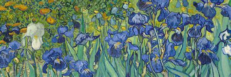 Irises | Van Gogh Gallery