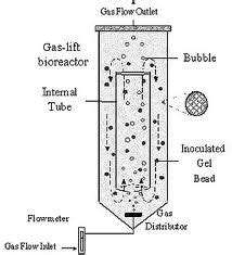 Airlift bioreactor - Wiki | Golden