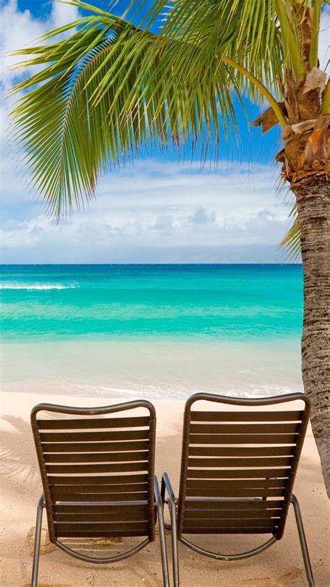 Beach Chairs Palm Tree Seaside Android and iPhone Wallpaper Background and Lockscreen Check more ...