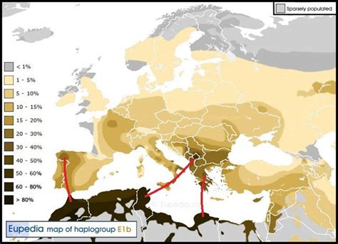 Europe Haplogroup-E1b1b European Ancestry, Human Migration, Dna Genealogy, Genealogy Ireland ...