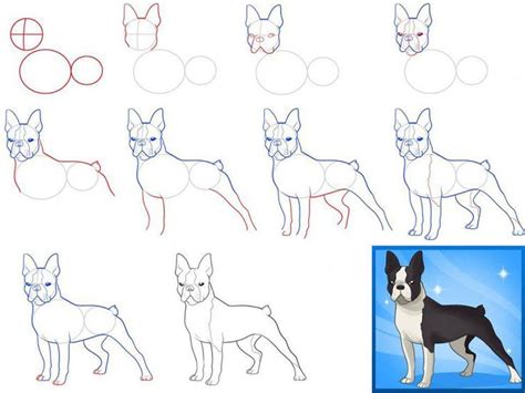 Sign in | Drawings, How to draw a dog, Fun poses drawing