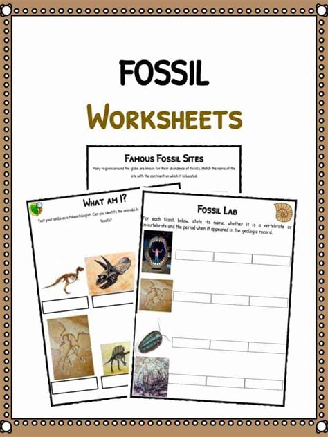 Fossils Of Evolution Worksheets