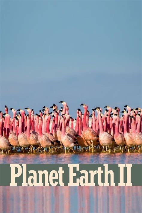 Planet Earth II - Alchetron, The Free Social Encyclopedia