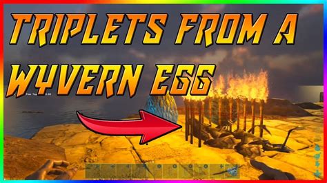 Ark Survival Evolved : Hatching Triplets From A Wyvern Egg ! - YouTube