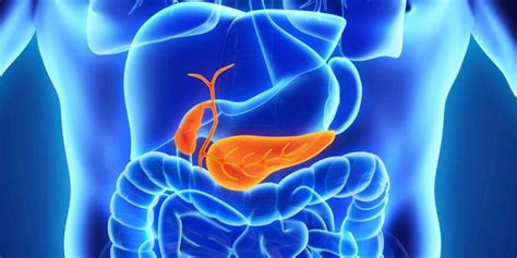 PANCREAS SURGERY – LiverTransplantsIndia.in