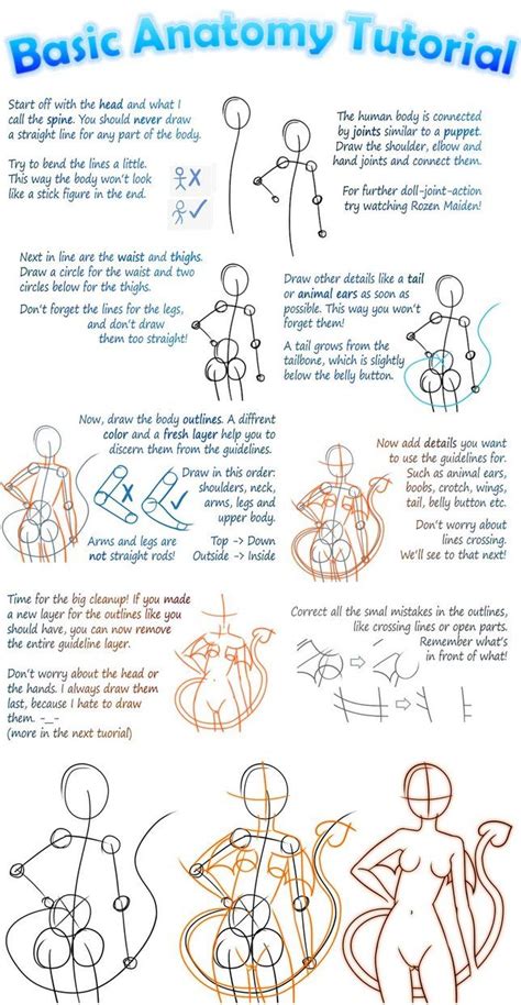 Basic Manga Anatomy Tutorial | Anatomy tutorial, Drawing tutorial, Drawing reference