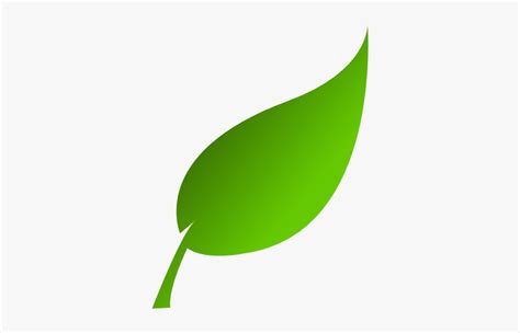 Green Leaf Png Photo - Green Leaf Clipart, Transparent Png - kindpng