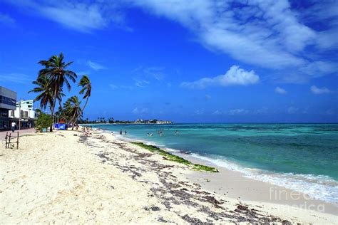 San Andres Island Beach View Photograph by John Rizzuto - Fine Art America