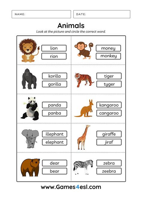 Characteristics Of Animals For Kindergarten