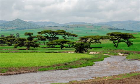 Visit Ethiopia: A Complete Travel Guide – Wandering Wheatleys