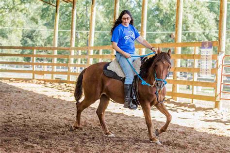 EPM in Horses Case Study: Bambam's EPM Horse Symptoms and Behavioral ...