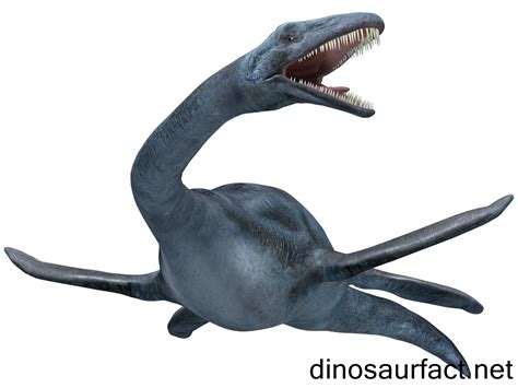 Elasmosaurus dinosaur