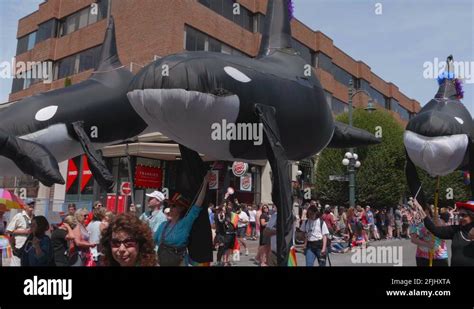 Slow Motion Gay Pride Parade Banners and Balloon Floats, Happy People ...