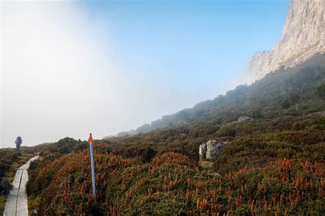 Walls of Jerusalem - walk notes | Parks & Wildlife Service Tasmania