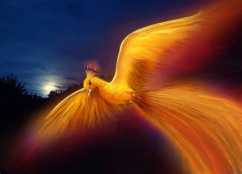 Golden Phoenix by JennLaa on DeviantArt | Golden phoenix, Phoenix ...