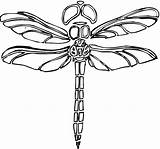8x10 Free Printable Coloring Pages Dragonfly sketch template