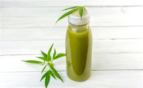 Cbd Cannabis Hemp Infused Smoothie Drink With Leafs Stock Photo - Download Image Now - iStock