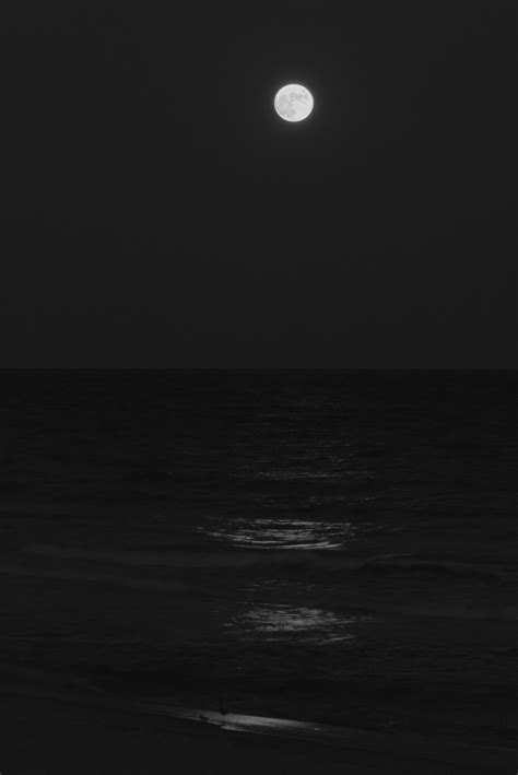 Moonrise over ocean - Play Raw - discuss.pixls.us