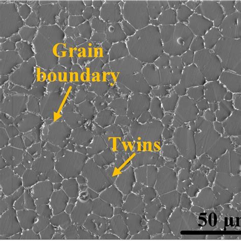 Microstructure of the GH4169 superalloy | Download Scientific Diagram