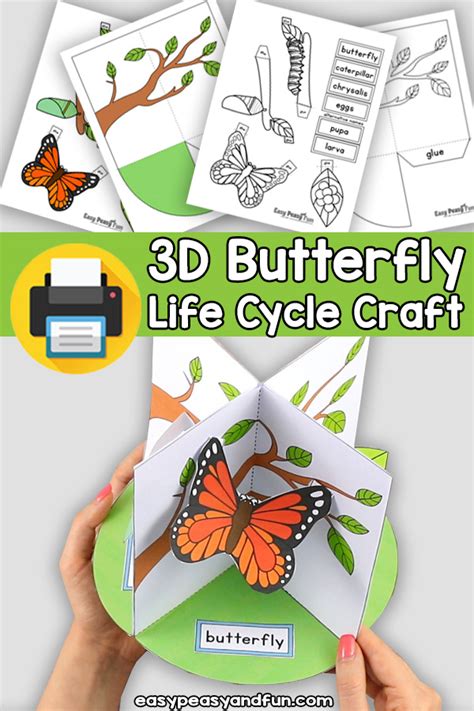 3D Life Cycle of a Butterfly Craft – Easy Peasy and Fun Membership