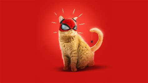 1920x1080 Resolution Spider Cat Spider-Man Miles Morales Art 1080P Laptop Full HD Wallpaper ...