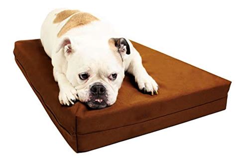 Top 10 best selling list for big barker Mice bed amazon - Best Family Pets