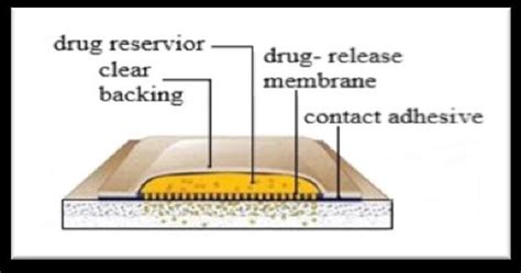 Diagram showing the different layers of transdermal patch with ...