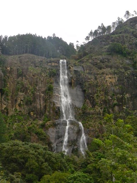 Safari Sri Lanka: Bambarakanda waterfall - Tallest waterfall in Sri ... Waterfalls, Sri Lanka ...