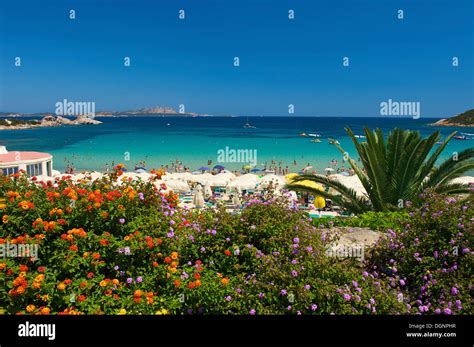 Beach, Baia Sardinia, Sardinia, Italy, Europe Stock Photo - Alamy