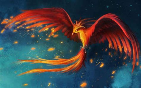 The Phoenix Tail Feather Core !!! | Harry Potter Amino