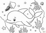 Delfin Målarbok  Gratis Målarbilder Att Skriva Ut sketch template