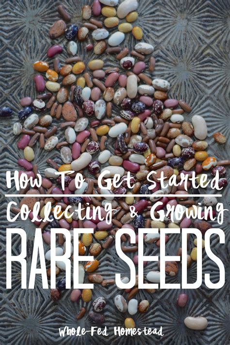 How to Get Started Collecting & Growing Rare Seeds - Whole-Fed Homestead