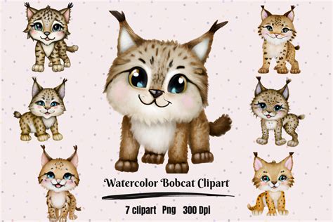 Watercolor Cute Kawaii Bobcat Clipart Graphic by Hamees Store ...