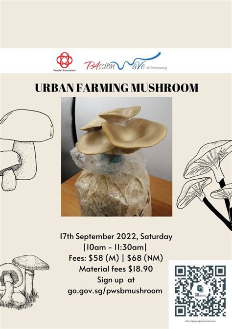 Urban farming - mushroom | HoneyKids Asia