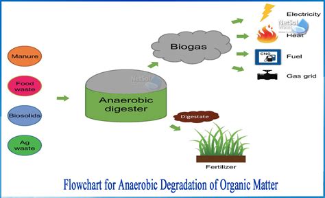 What are the phases involved in anaerobic degradation