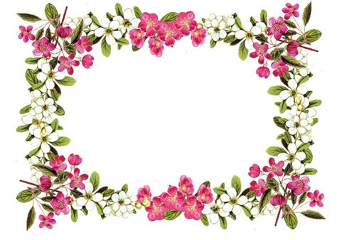 Flower border free printable clip art borders free digital flower – Clipartix