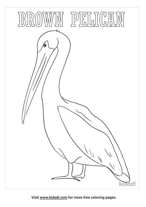 Free Louisiana State Bird Coloring Page | Coloring Page Printables | Kidadl