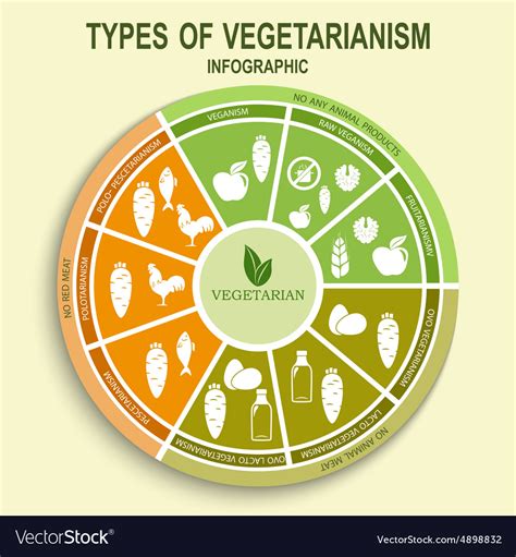 Vegetarian types infographic Royalty Free Vector Image