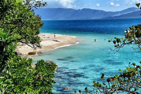 It is the best place for snorkeling - Review of Fitzroy Island National Park, Fitzroy Island ...