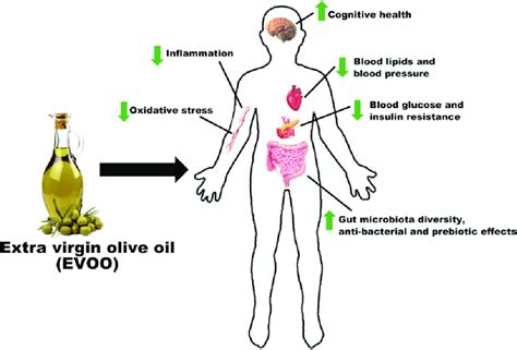 Schematic overview of the numerous health benefits of extra-virgin ...