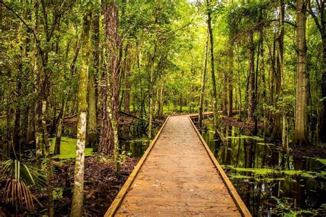 10 Places To Visit In Orlando - Shingle Creek Regional Park and ...