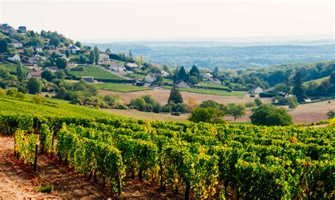 Your 2023 guide to Sancerre in Loire Valley region | Winetourism.com