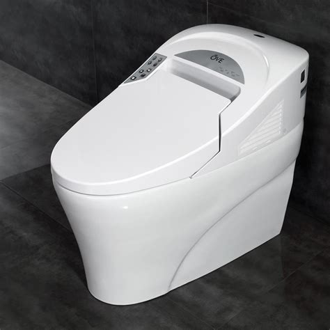 The 7 Best Bidet Toilet Combos - Sleek and Modern - Toilet Haven