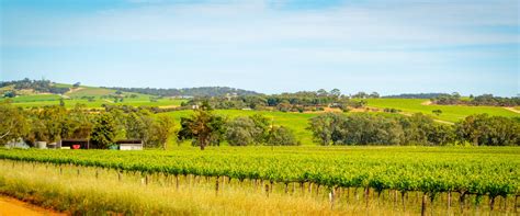 Barossa Valley Wine Tours From Adelaide | Taste the Barossa