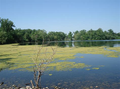 Camping In Massachusetts' Mohawk Trail State Forest - My Family Travels